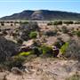 Chapman Valley