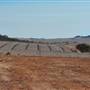 Chapman Valley