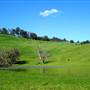 Nannup - Xmas Brook Farm