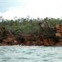 Broome - Roebuck Bay coast