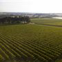 Howard Park Wines