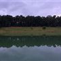 Drakesbrook Fine Wines Winery