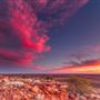 Goldfields - Esperance Region