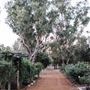 Rose Garden at Edenvale Homestead