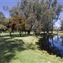 Pinjarra