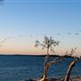 Herron Point, Birchmont