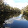 Lane Poole Reserve Dwellingup