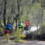 Lane Poole Reserve Dwellingup