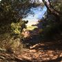 Mosman Park - Minim Cove