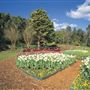 Araluen Botanic Park