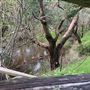 Fairbridge Village, Pinjarra