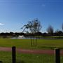 Albany- Eyre Park