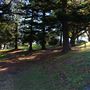 Lawley Park
