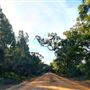 Craigendarroch, Porongurup