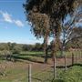 Hope Farm