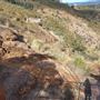 Lesmurdie Falls