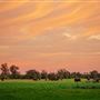 Dwellingup