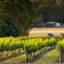 Dwellingup