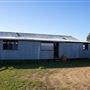 Greenhills farm buildings (Shearing shed, silos, general shed)