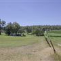 Bickley-Carmel Valley
