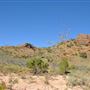 Shothole Canyon