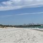 Dutch Inn Beach