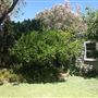 52 Irwin Street