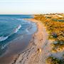 Mandurah - Falcon