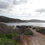 Norman's Beach, Albany