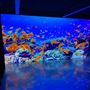 Limitless Studios - LED Wall Virtual Production Studio