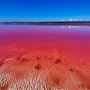 Pink Lake - Hutt Lagoon