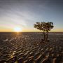 Cape Leveque & Dampier Peninsula