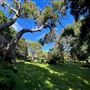 Caves House Hotel