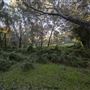 Banyowla Regional Park