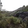 John Forrest National Park