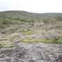 John Forrest National Park