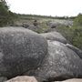 John Forrest National Park