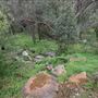 Wungong Regional Park