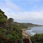 Gracetown