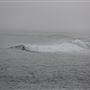 Gracetown