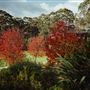 Margaret River - Leeuwin Estate Winery