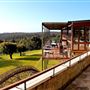 Wise Wines- Eagle Bay