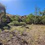 Cheela Plains Station