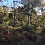 Bickley & Pickering Brook