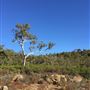 Banyowla Regional Park