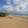 Avalon Beach
