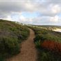 Yallingup - Rabbit Hill