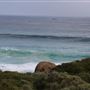Yallingup - Torpedo Rock