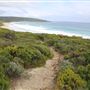 Yallingup - Torpedo Rock