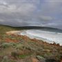Yallingup - Torpedo Rock